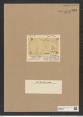 Asterolampra marginata (Brig.) Grev. (de-Toni-Nr.: Genus 235, Species 5645) Zeichnungen Sammlung Grunow Nr. 9629 (NHMW-BOT-W0379559)